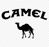 Camel Collection